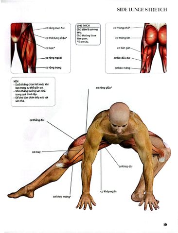  Combo 2 Cuốn 501 Bài Tập Giảm Cân Và Giữ Dáng + 70 Bài Tập Phát Triển, Cải Thiện Vóc Dáng, Tăng Sự Dẻo Dai 