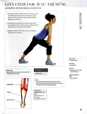  Combo 2 Cuốn 501 Bài Tập Giảm Cân Và Giữ Dáng + 70 Bài Tập Phát Triển, Cải Thiện Vóc Dáng, Tăng Sự Dẻo Dai 