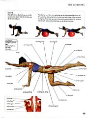70 Bài Tập Phát Triển, Cải Thiện Vóc Dáng, Tăng Sự Dẻo Dai (Sách Ảnh; In Màu) - Hollis Lance Liebman