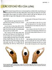 Cổ, Vai, Lưng Khỏe Mạnh Với Bài Tập Cơ Bản (Sách Ảnh; In Màu) - Philip Striano