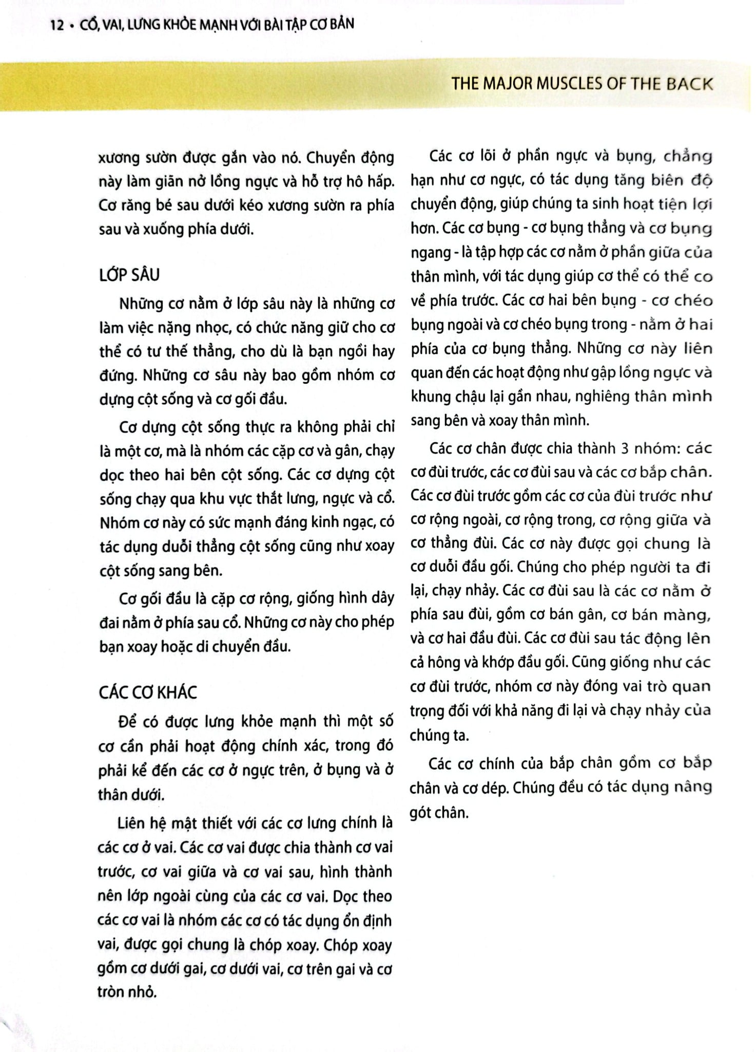 Cổ, Vai, Lưng Khỏe Mạnh Với Bài Tập Cơ Bản (Sách Ảnh; In Màu) - Philip Striano