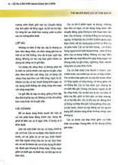 Cổ, Vai, Lưng Khỏe Mạnh Với Bài Tập Cơ Bản (Sách Ảnh; In Màu) - Philip Striano