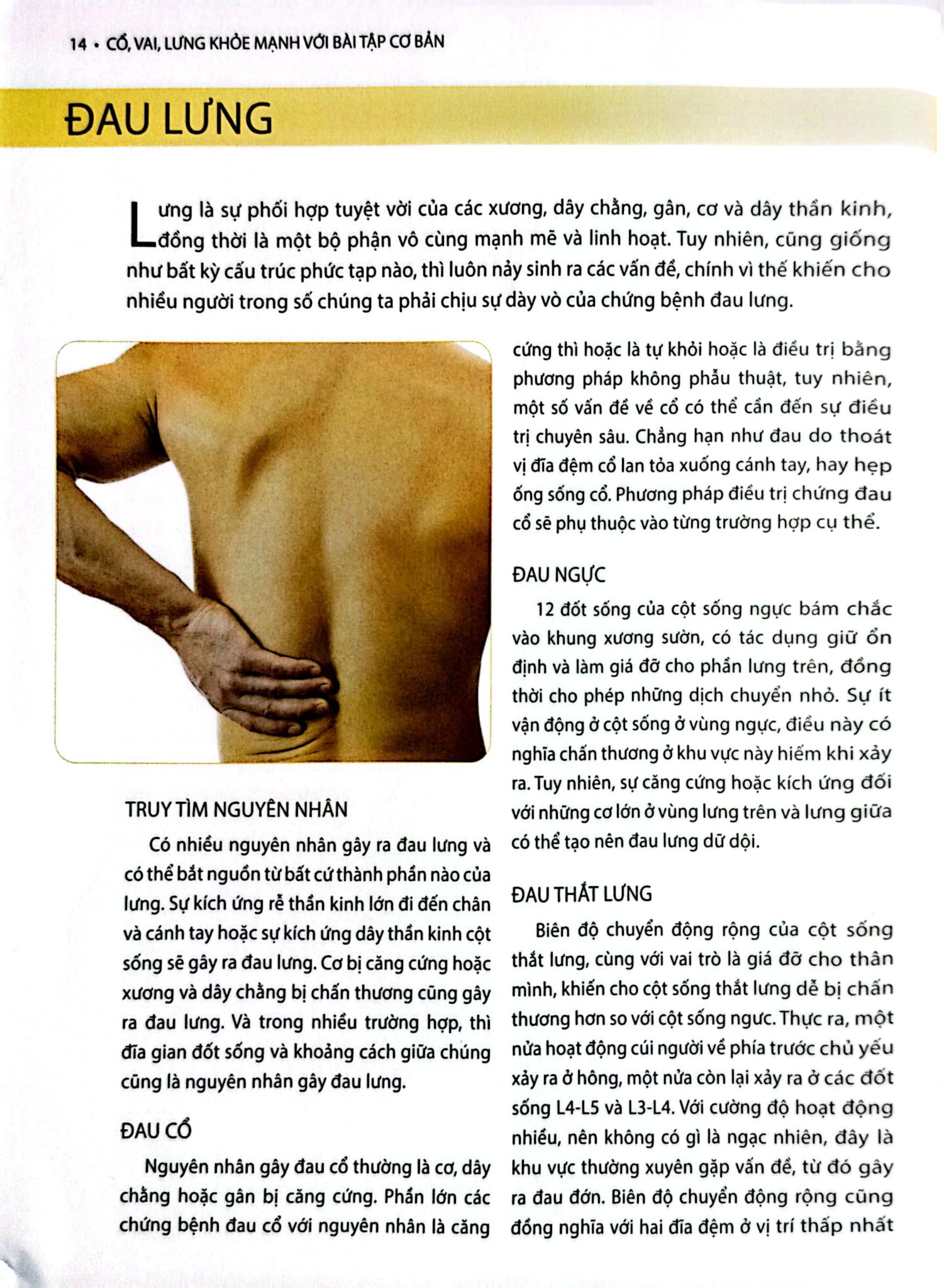 Cổ, Vai, Lưng Khỏe Mạnh Với Bài Tập Cơ Bản (Sách Ảnh; In Màu) - Philip Striano