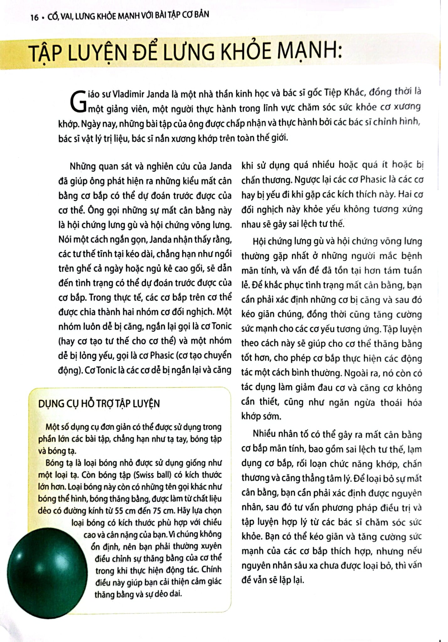 Cổ, Vai, Lưng Khỏe Mạnh Với Bài Tập Cơ Bản (Sách Ảnh; In Màu) - Philip Striano
