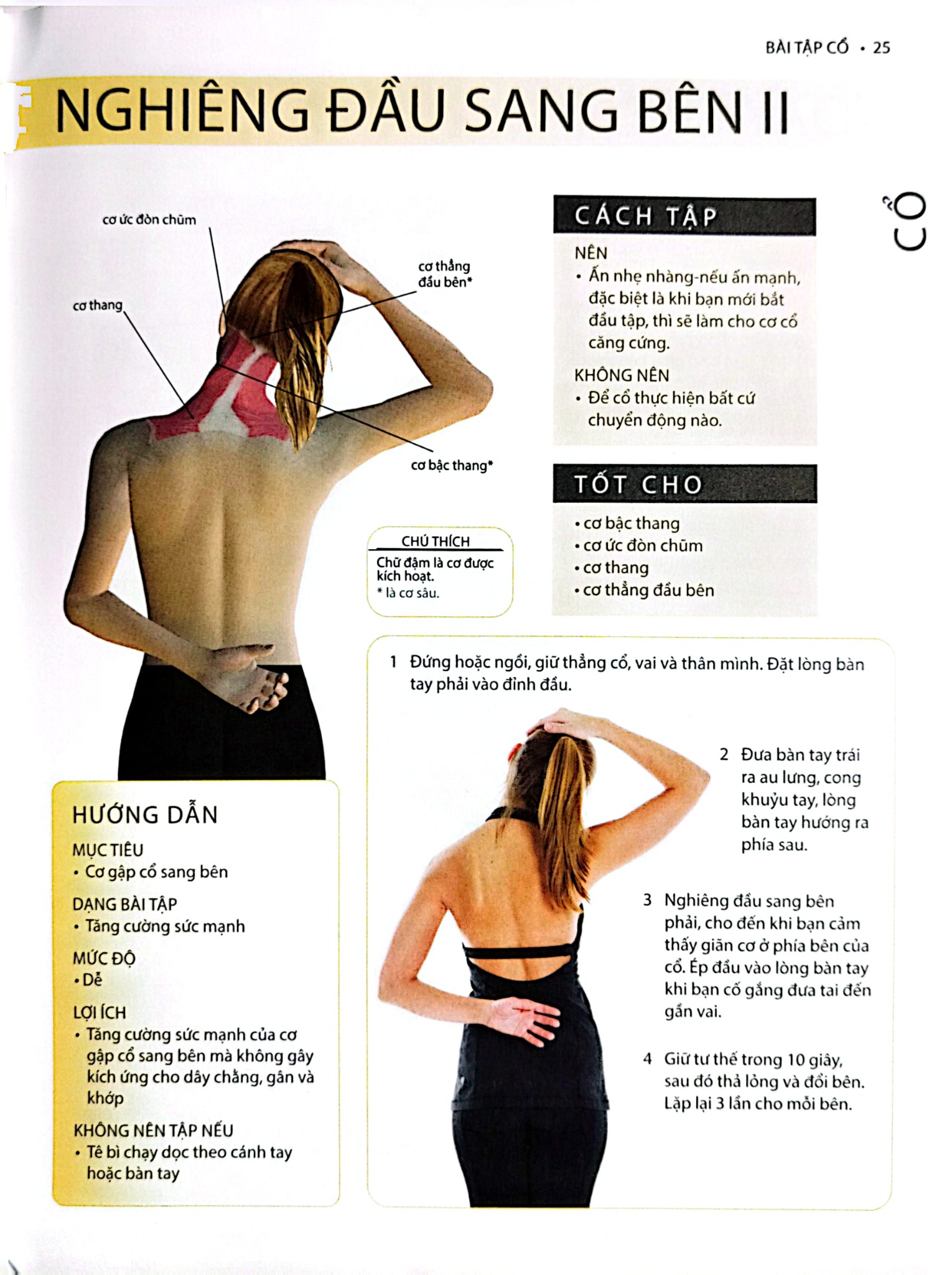 Cổ, Vai, Lưng Khỏe Mạnh Với Bài Tập Cơ Bản (Sách Ảnh; In Màu) - Philip Striano