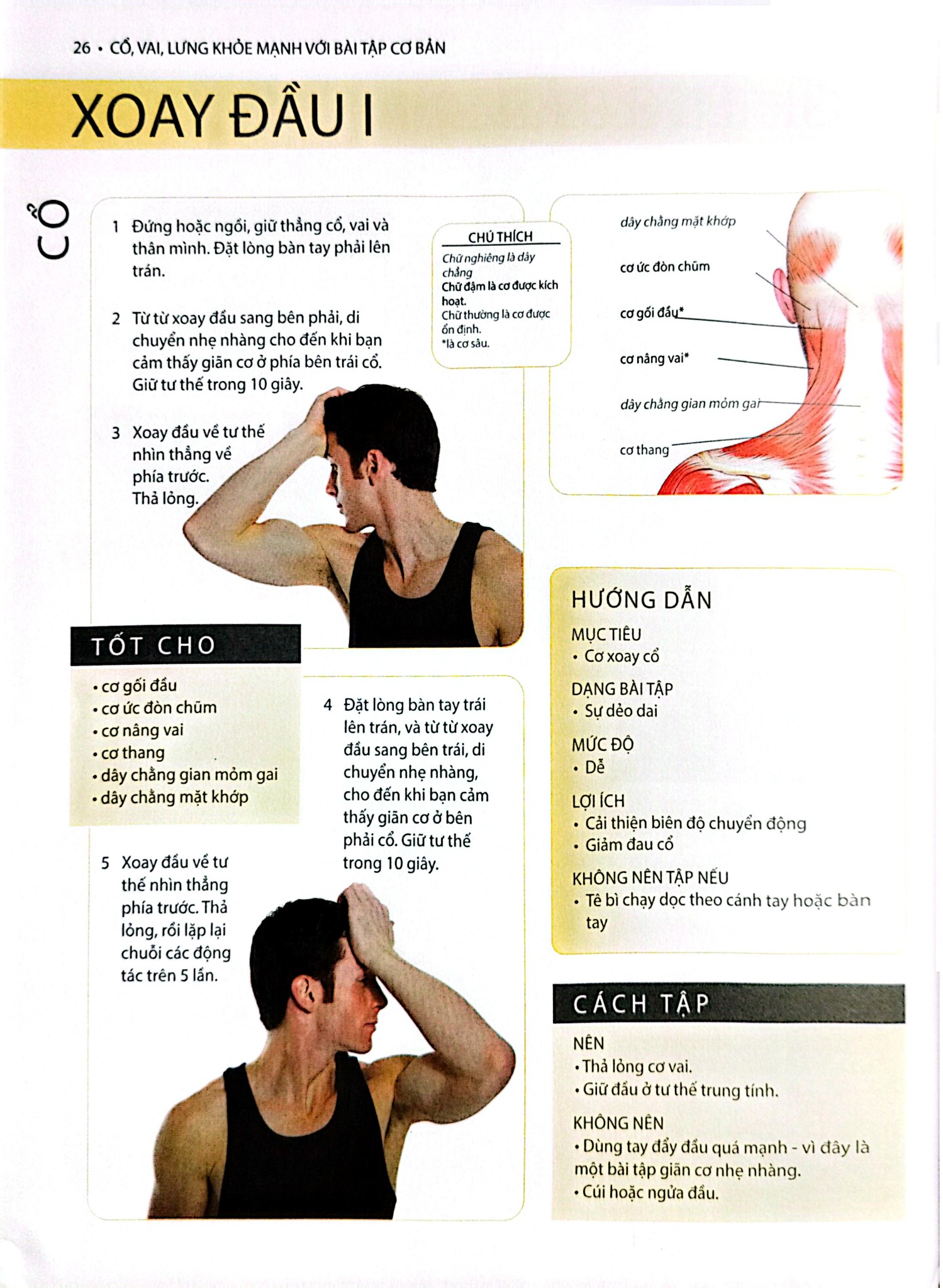 Cổ, Vai, Lưng Khỏe Mạnh Với Bài Tập Cơ Bản (Sách Ảnh; In Màu) - Philip Striano