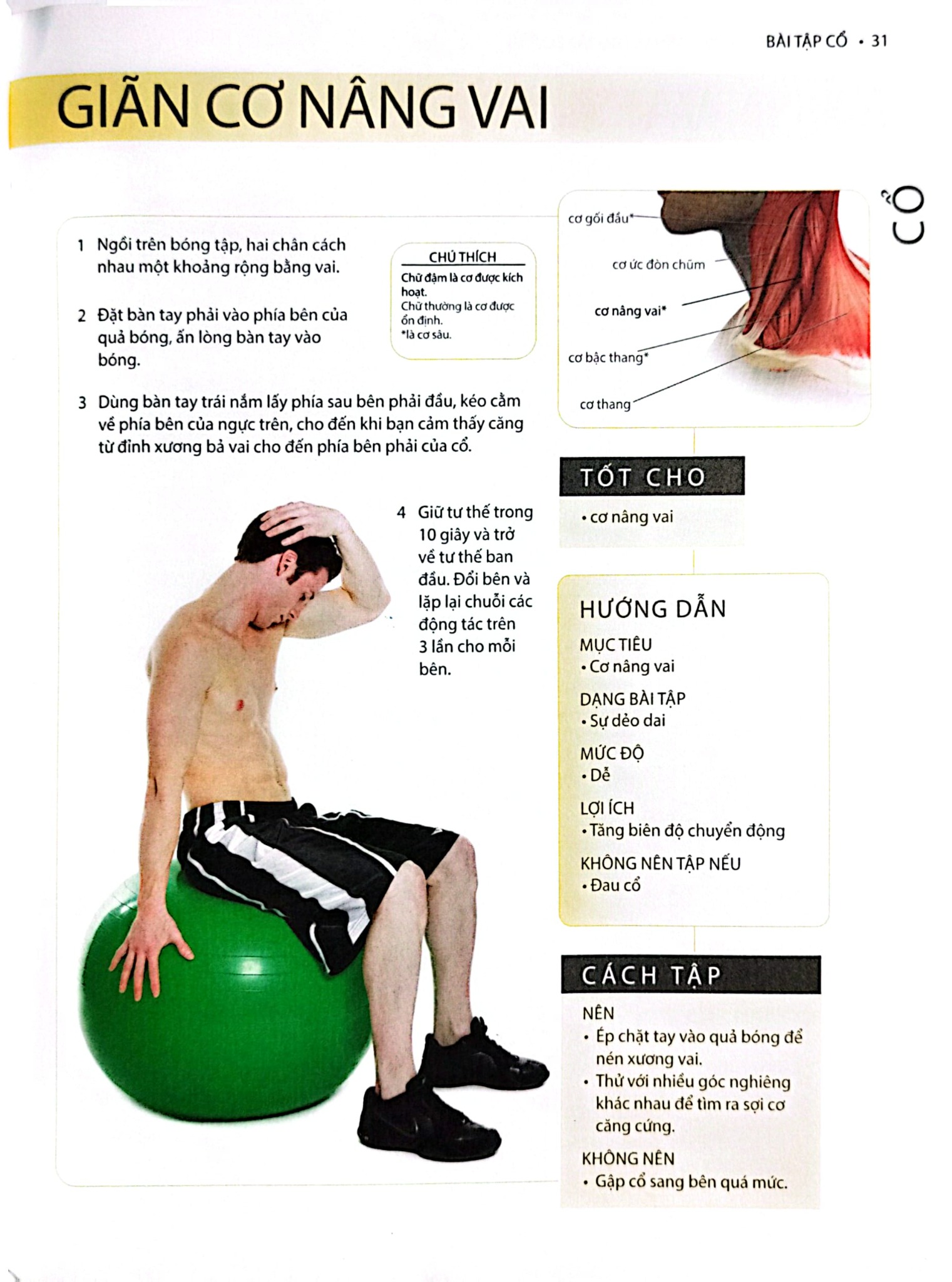 Cổ, Vai, Lưng Khỏe Mạnh Với Bài Tập Cơ Bản (Sách Ảnh; In Màu) - Philip Striano