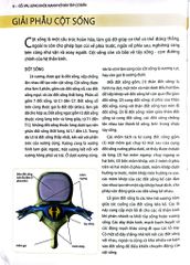 Cổ, Vai, Lưng Khỏe Mạnh Với Bài Tập Cơ Bản (Sách Ảnh; In Màu) - Philip Striano