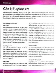 Giãn Cơ Bắp, Thư Giãn, Giảm Đau Nhức (Sách Ảnh; In Màu) - Sophie Cornish-Keefe