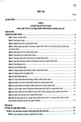 Chỉ Dẫn Tra Cứu Và Áp Dụng Pháp Luật Về Xử Lý Vi Phạm Hành Chính Được Sđ, Bs Năm 2020 - Quyển 1 - TS. Nguyễn Thị Thuỷ
( Chủ biên)