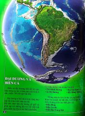 Bách Khoa Thư - Cẩm Nang Tri Thức Của Tôi - Phạm Hữu Phúc
