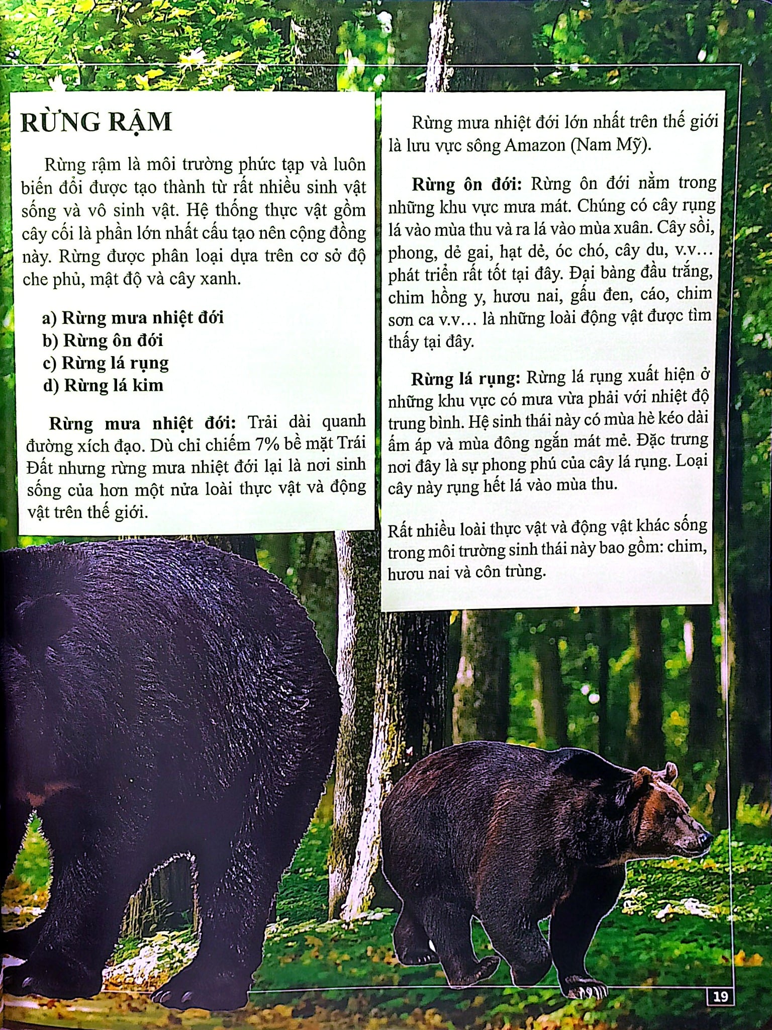Bách Khoa Thư - Cẩm Nang Tri Thức Của Tôi - Phạm Hữu Phúc
