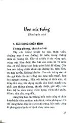 Hoa Với Chức Năng Ẩm Thực Và Chữa Bệnh - Nguyễn Bá Cao