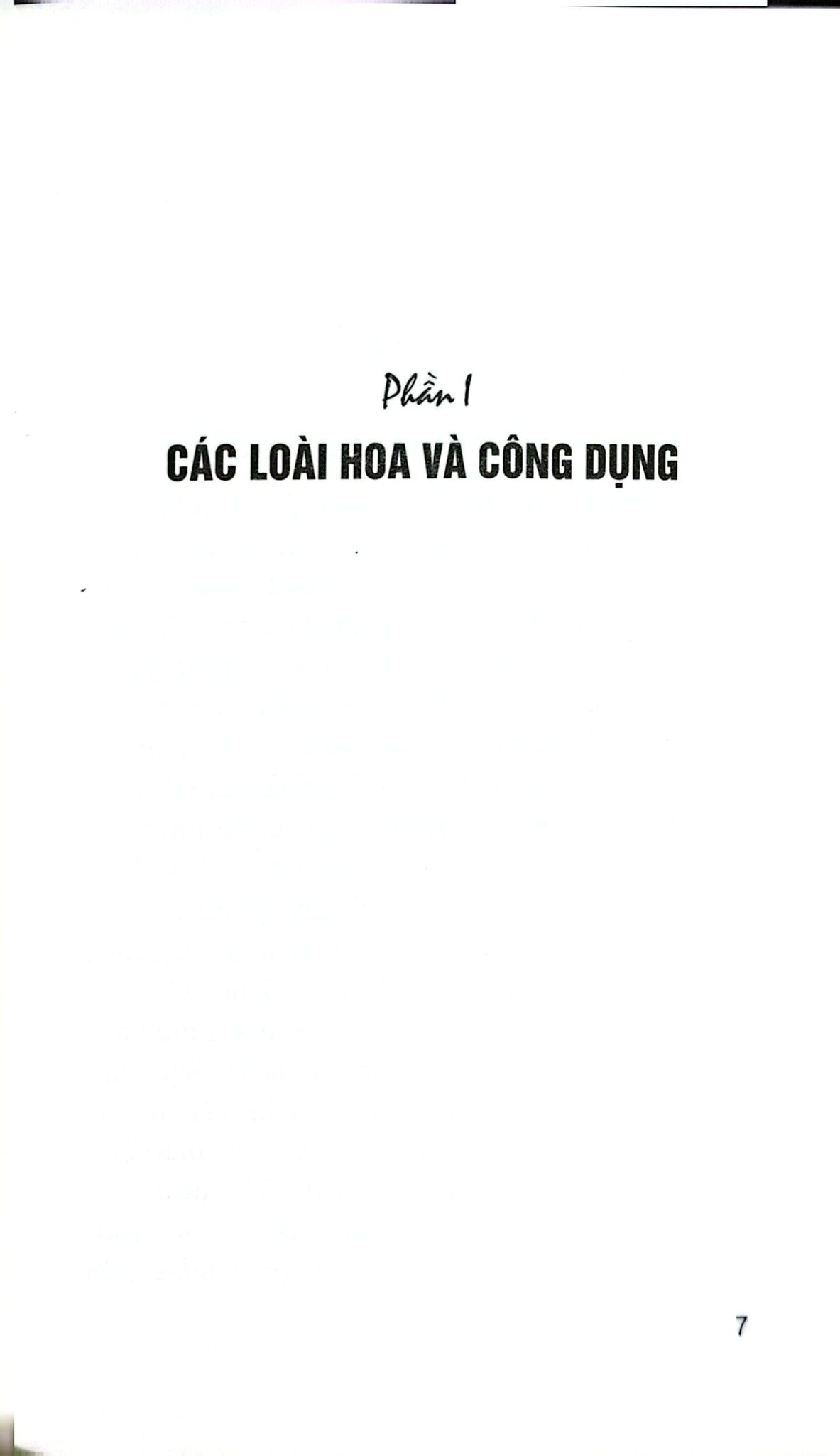 Hoa Với Chức Năng Ẩm Thực Và Chữa Bệnh - Nguyễn Bá Cao