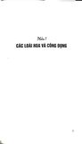  Hoa Với Chức Năng Ẩm Thực Và Chữa Bệnh - Nguyễn Bá Cao 