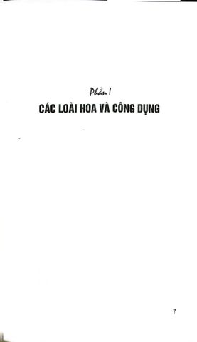  Hoa Với Chức Năng Ẩm Thực Và Chữa Bệnh - Nguyễn Bá Cao 