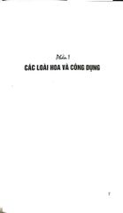 Hoa Với Chức Năng Ẩm Thực Và Chữa Bệnh - Nguyễn Bá Cao