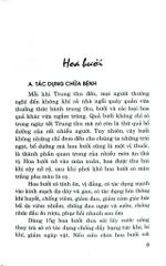 Hoa Với Chức Năng Ẩm Thực Và Chữa Bệnh - Nguyễn Bá Cao
