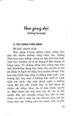 Hoa Với Chức Năng Ẩm Thực Và Chữa Bệnh - Nguyễn Bá Cao
