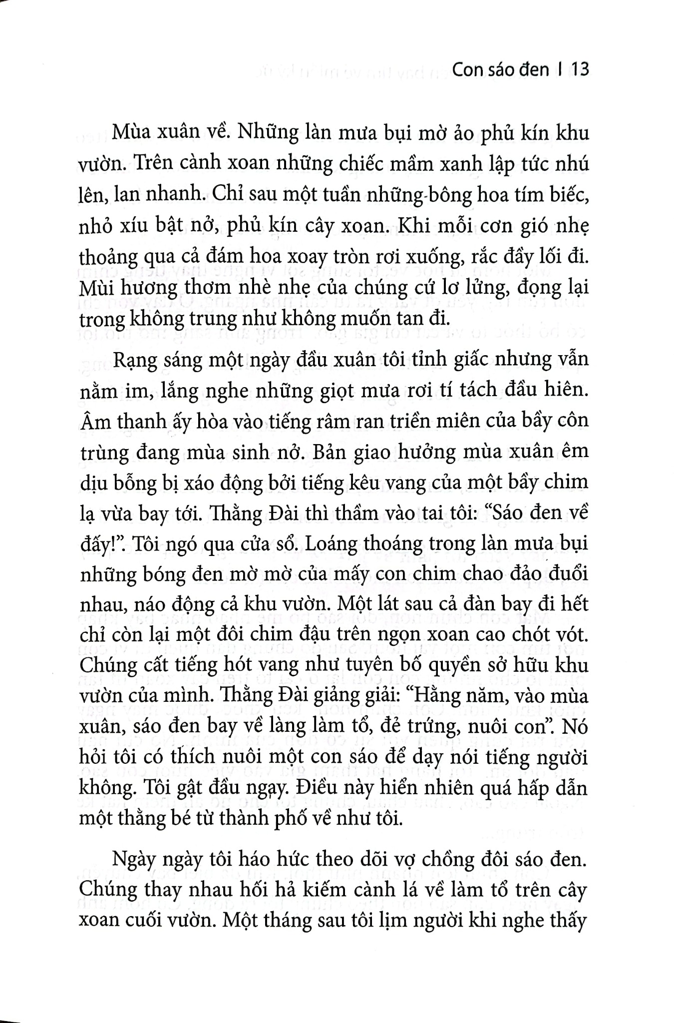 Những Chuyến Bay Tìm Về Miền Ký Ức - 
Hải Châu