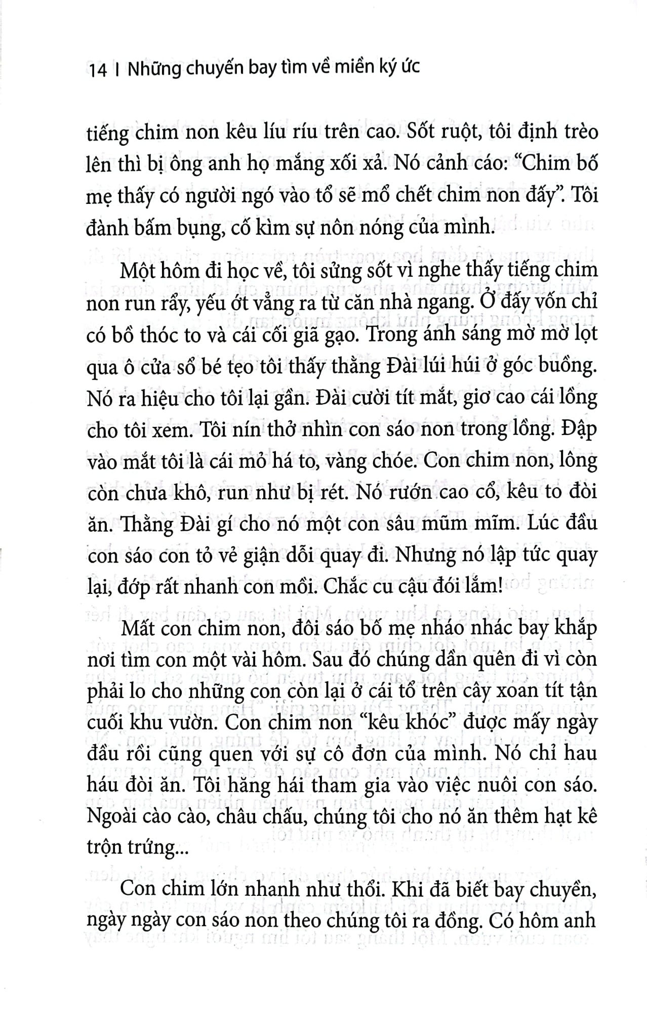 Những Chuyến Bay Tìm Về Miền Ký Ức - 
Hải Châu
