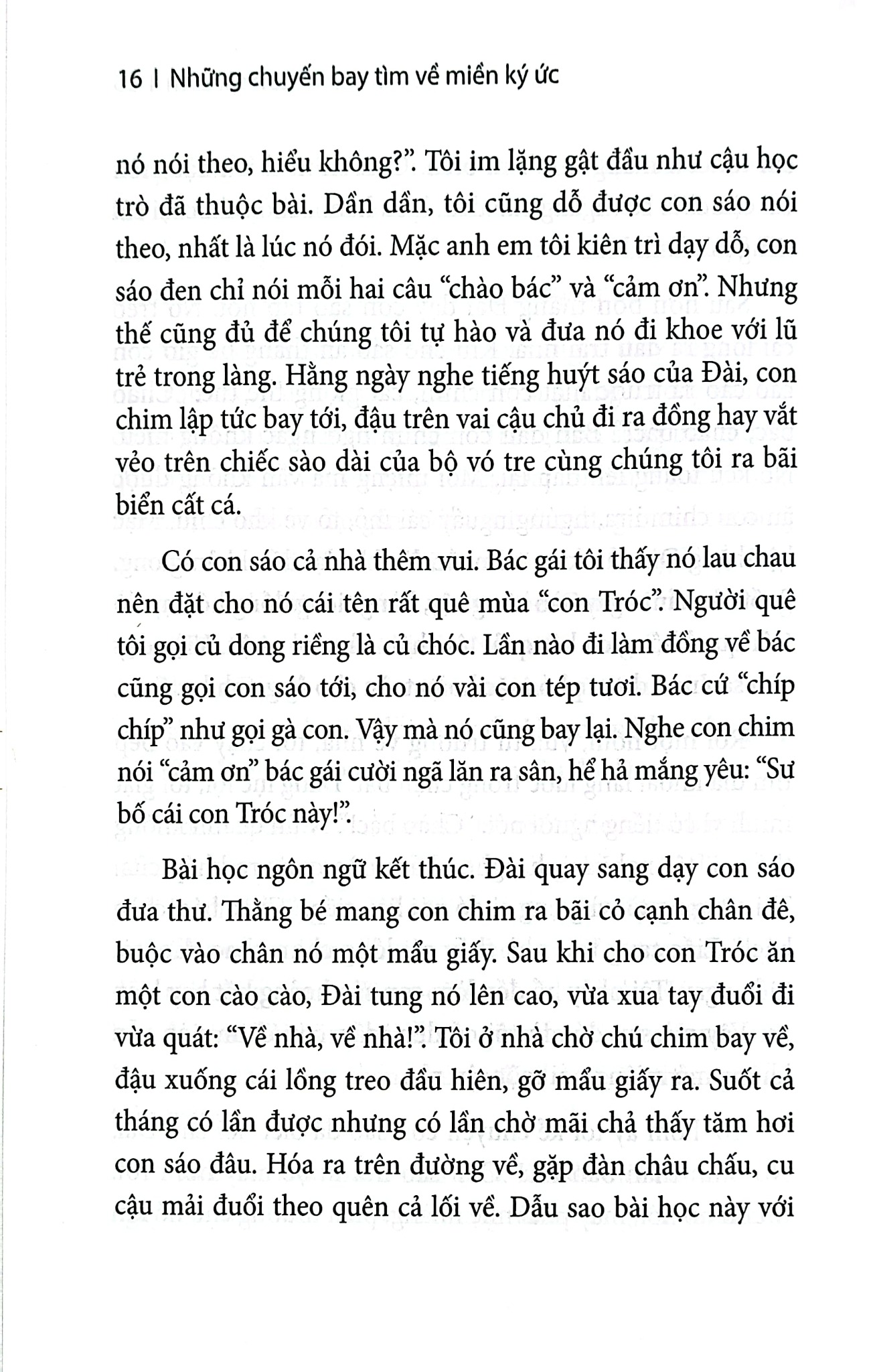 Những Chuyến Bay Tìm Về Miền Ký Ức - 
Hải Châu