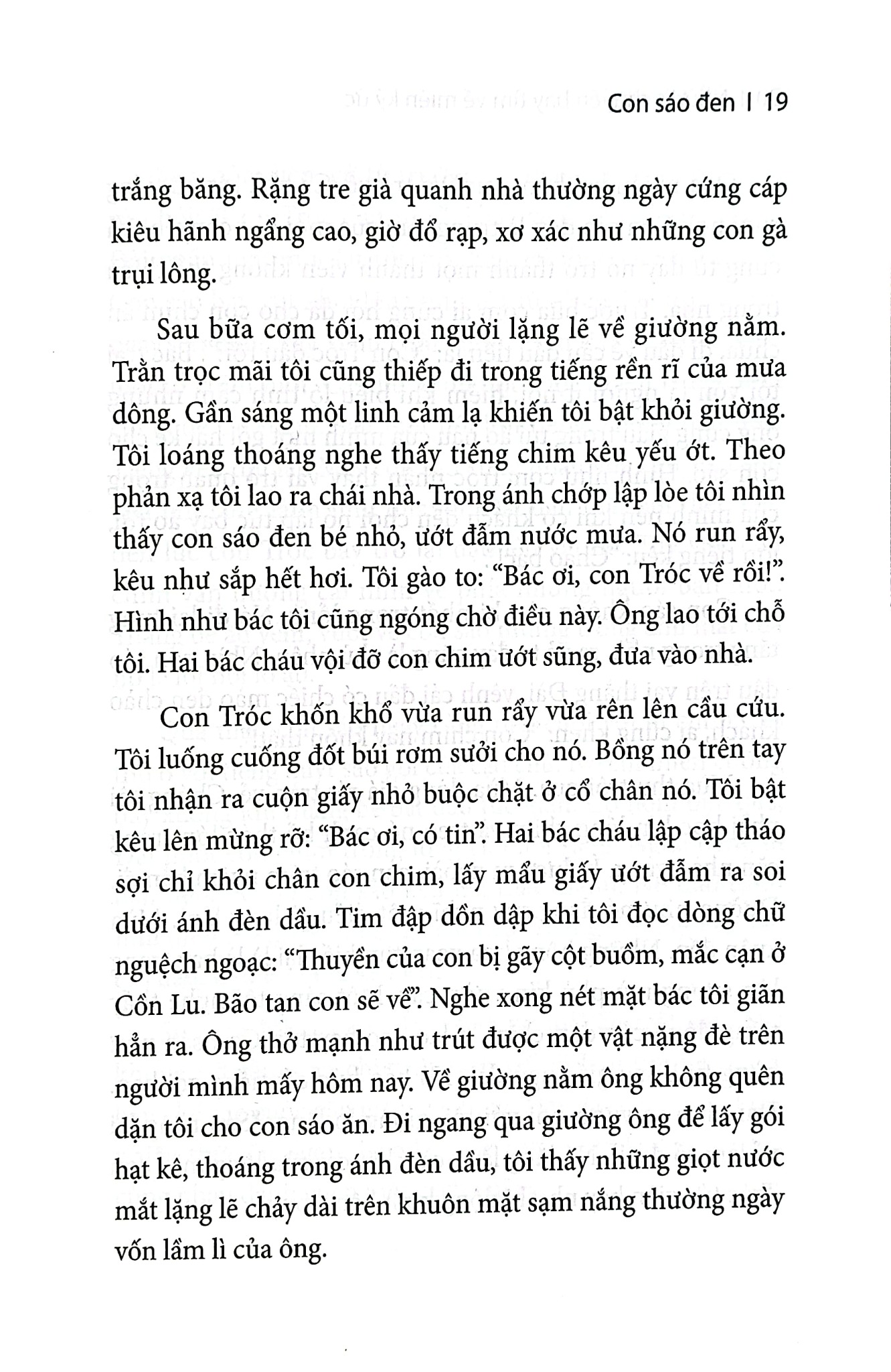 Những Chuyến Bay Tìm Về Miền Ký Ức - 
Hải Châu