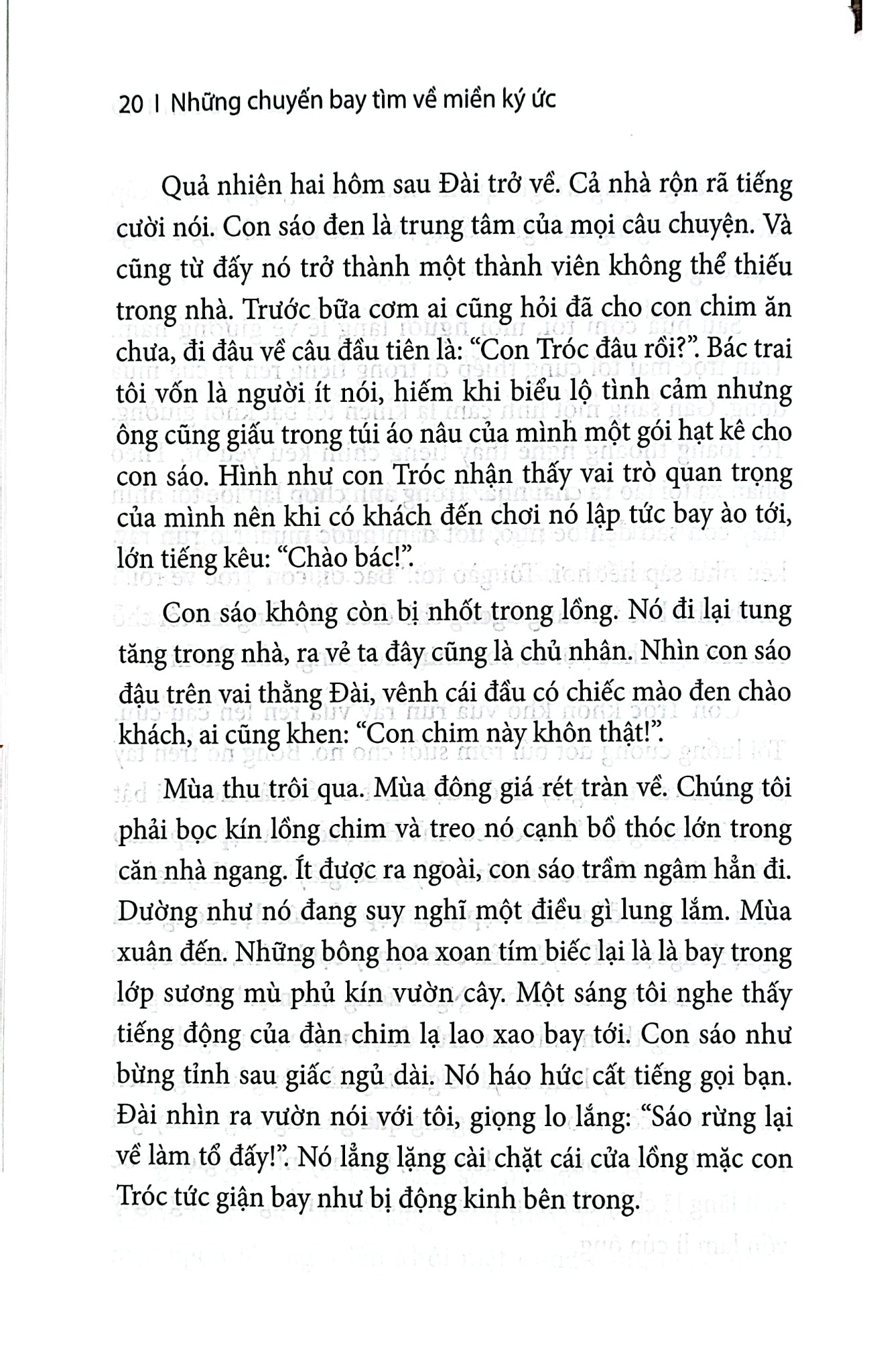 Những Chuyến Bay Tìm Về Miền Ký Ức - 
Hải Châu