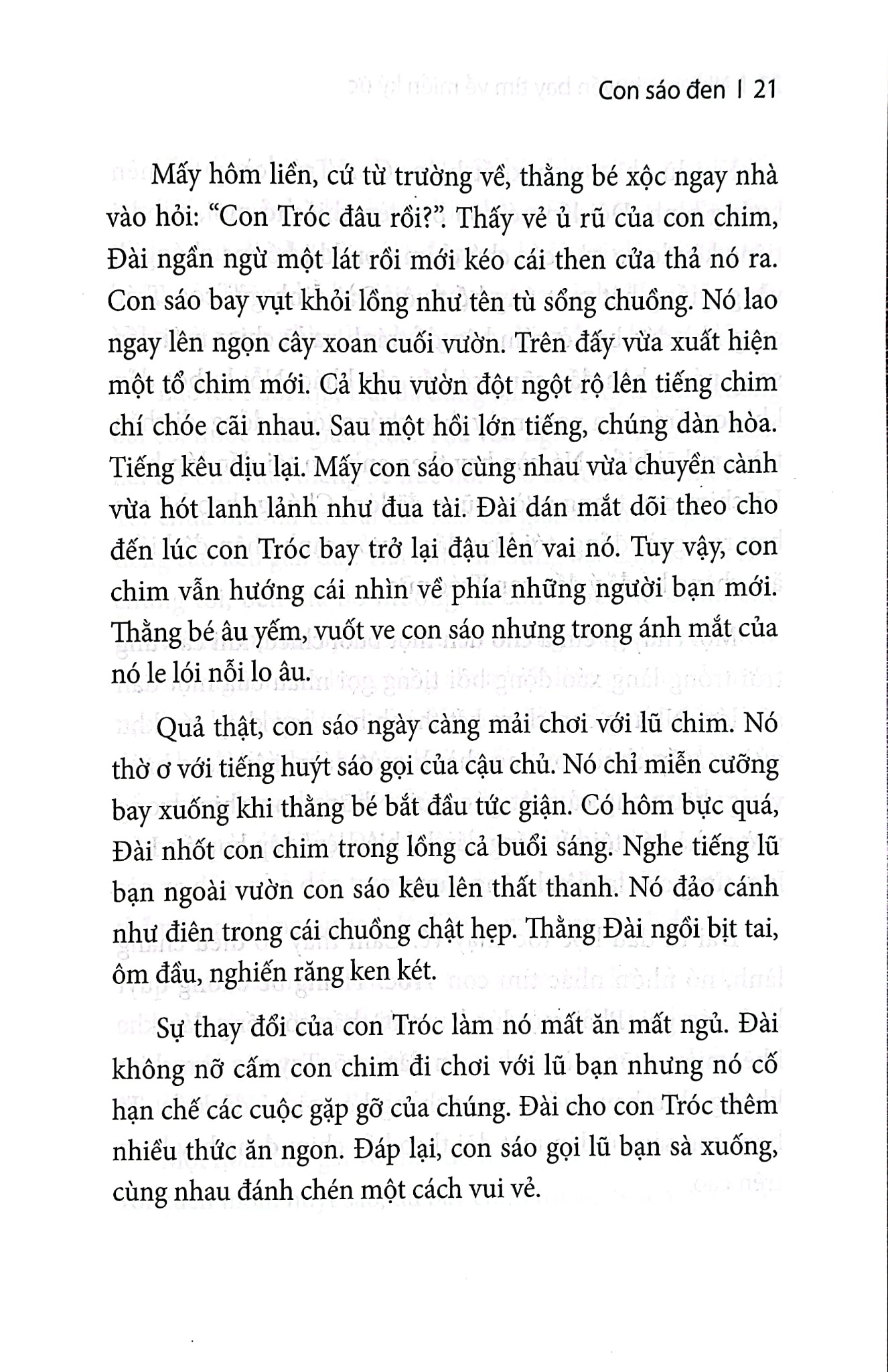 Những Chuyến Bay Tìm Về Miền Ký Ức - 
Hải Châu