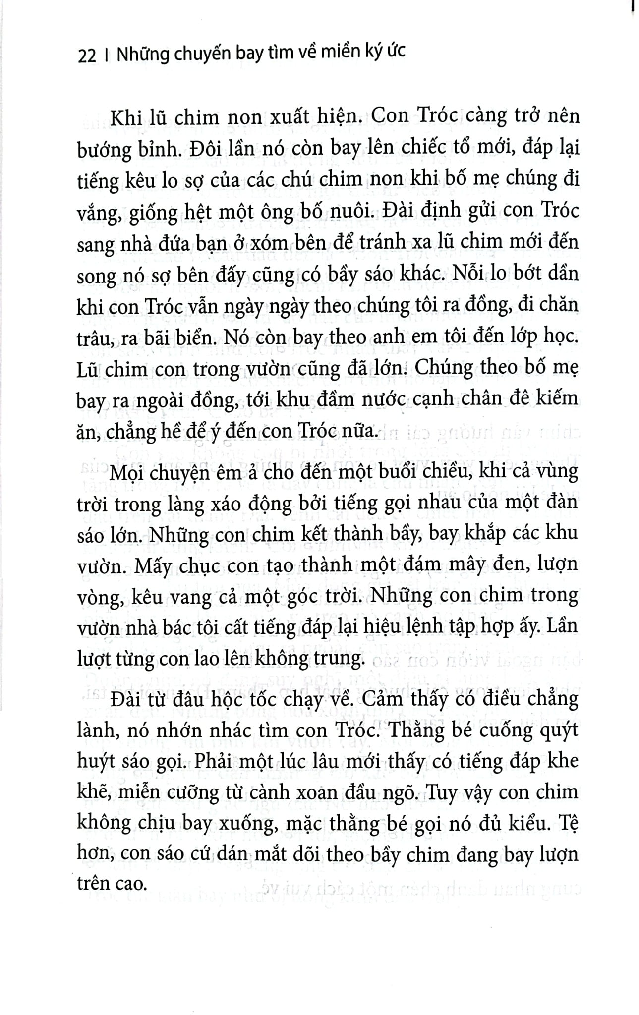 Những Chuyến Bay Tìm Về Miền Ký Ức - 
Hải Châu