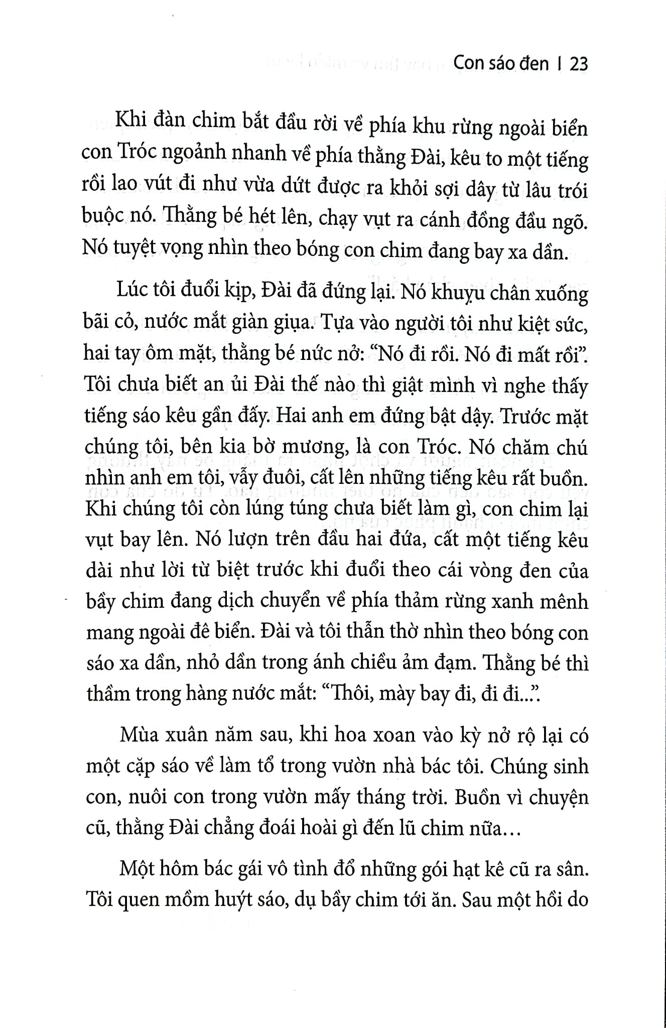Những Chuyến Bay Tìm Về Miền Ký Ức - 
Hải Châu