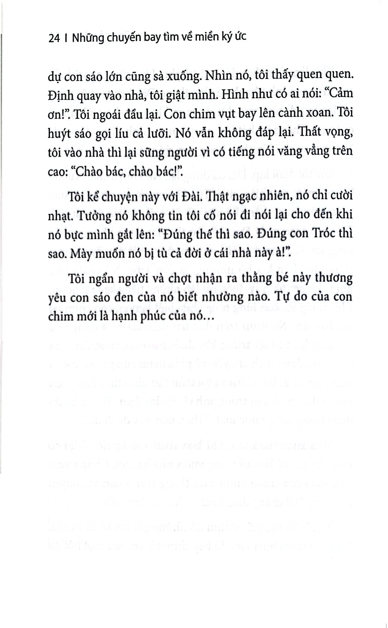 Những Chuyến Bay Tìm Về Miền Ký Ức - 
Hải Châu