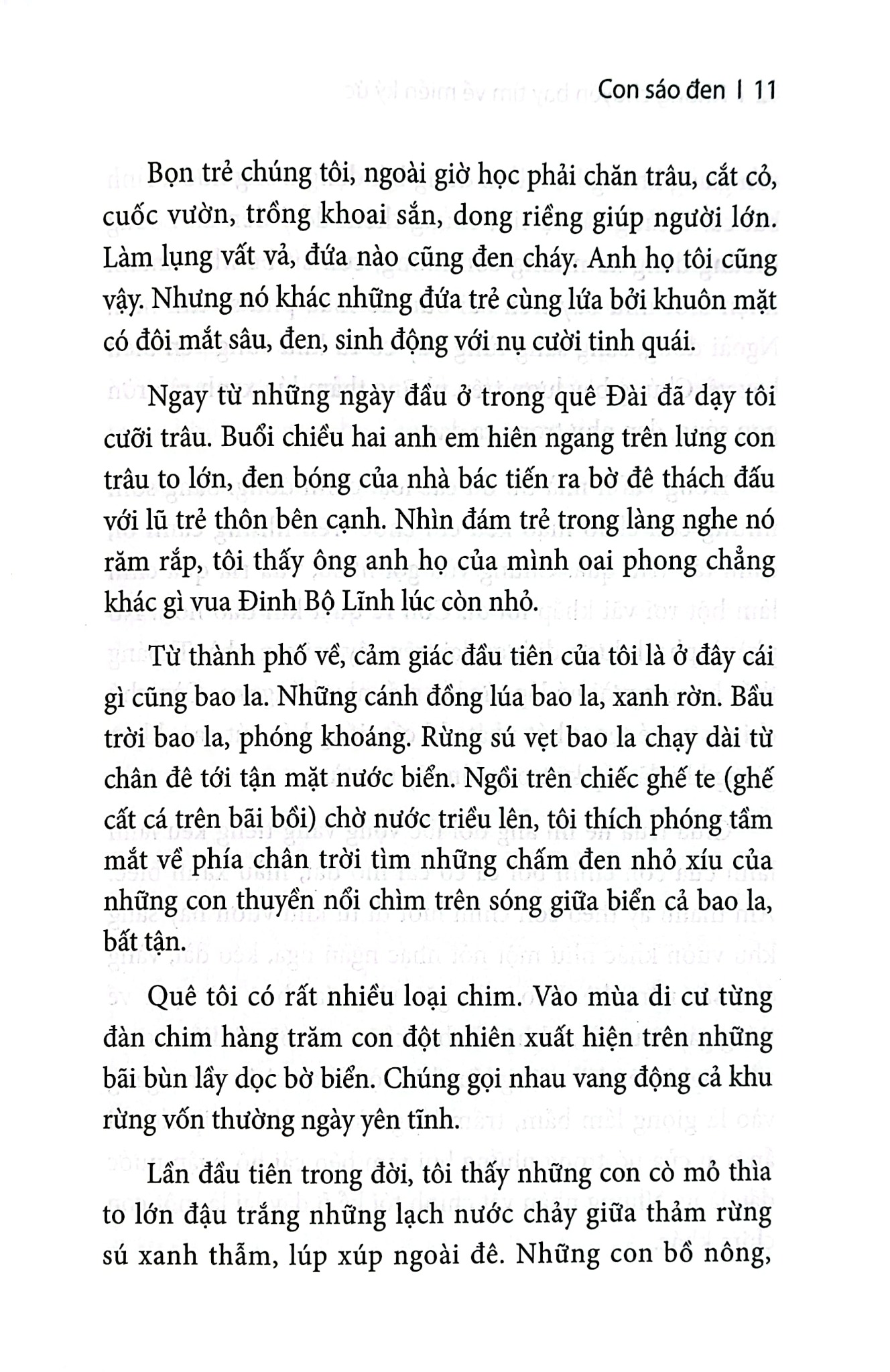 Những Chuyến Bay Tìm Về Miền Ký Ức - 
Hải Châu