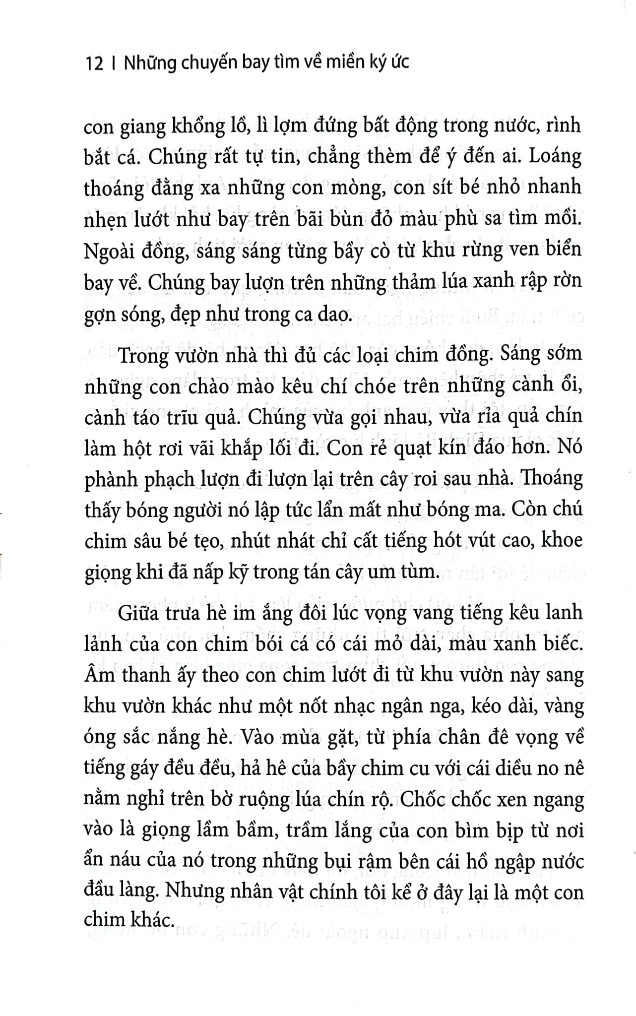 Những Chuyến Bay Tìm Về Miền Ký Ức - 
Hải Châu