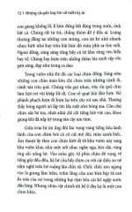 Những Chuyến Bay Tìm Về Miền Ký Ức - 
Hải Châu