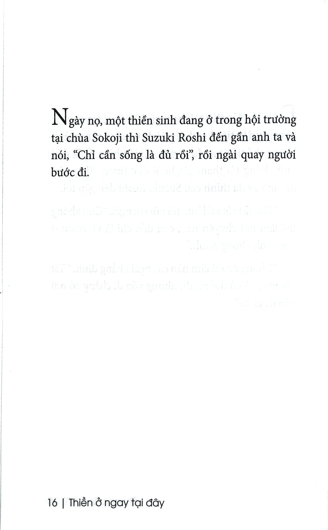 Thiền Ở Ngay Tại Đây - David Chadwick