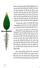 Về Nhà - Osho