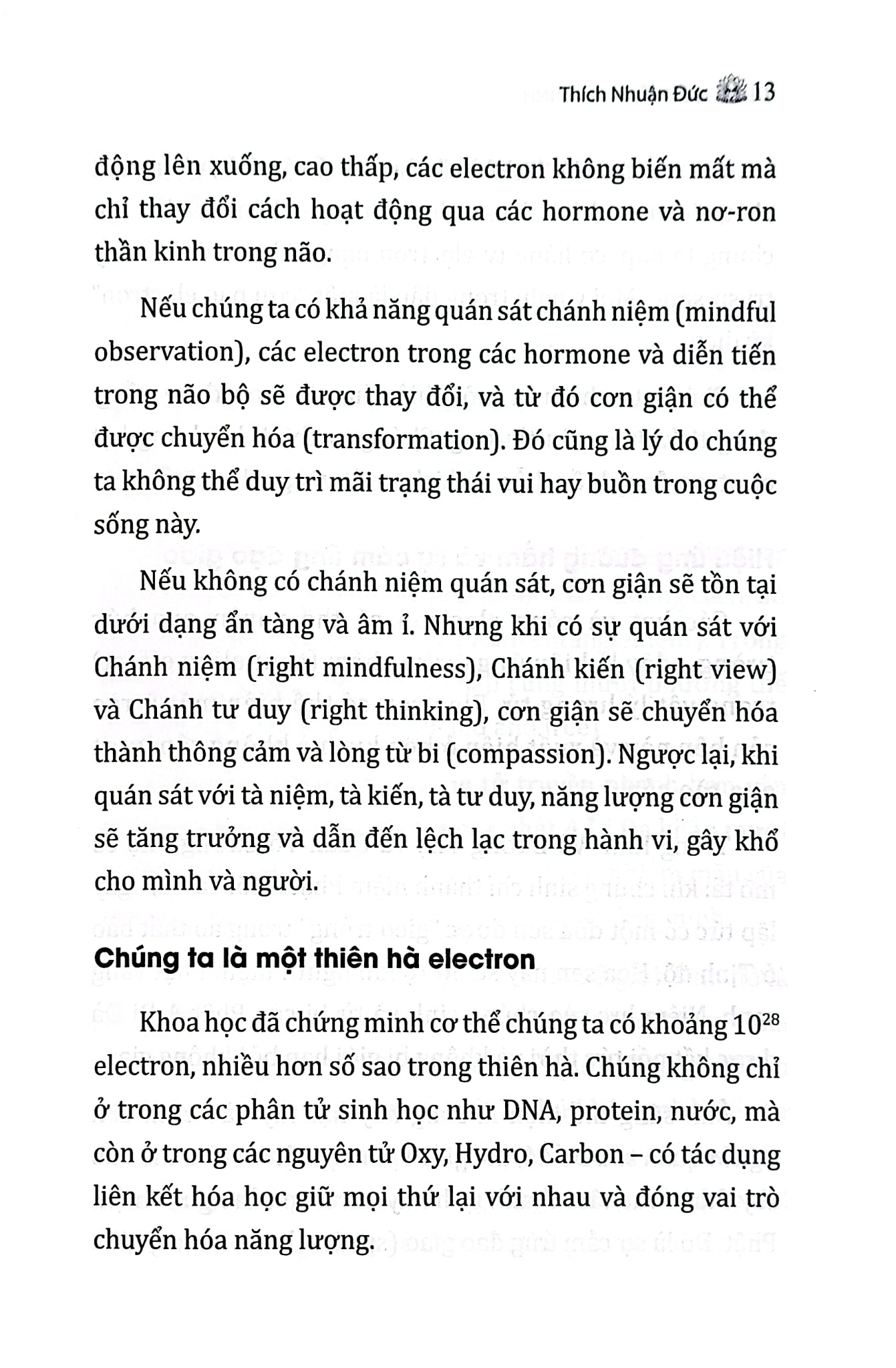 Hiểu Về Chính Mình Từ Cái Nhìn Của Phật Giáo - Tập 2 - Thích Nhuận Đức