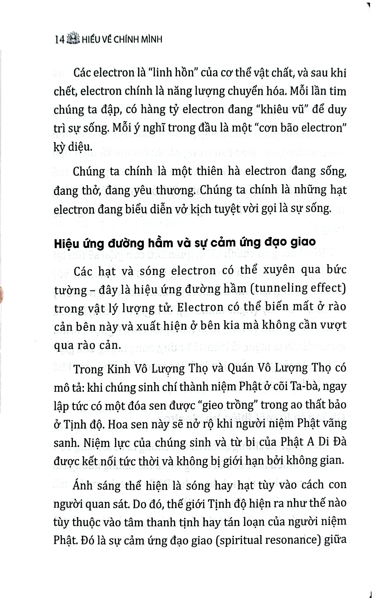 Hiểu Về Chính Mình Từ Cái Nhìn Của Phật Giáo - Tập 2 - Thích Nhuận Đức