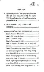 Luật Tương Trợ Tư Pháp Về Hình Sự Năm 2025 (NXBLĐ) - Quốc Hội