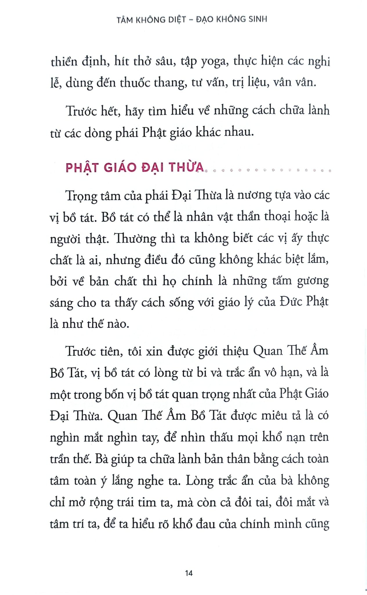 Tâm Không Diệt - Đạo Không Sinh -  
Terry Cortés-Vega