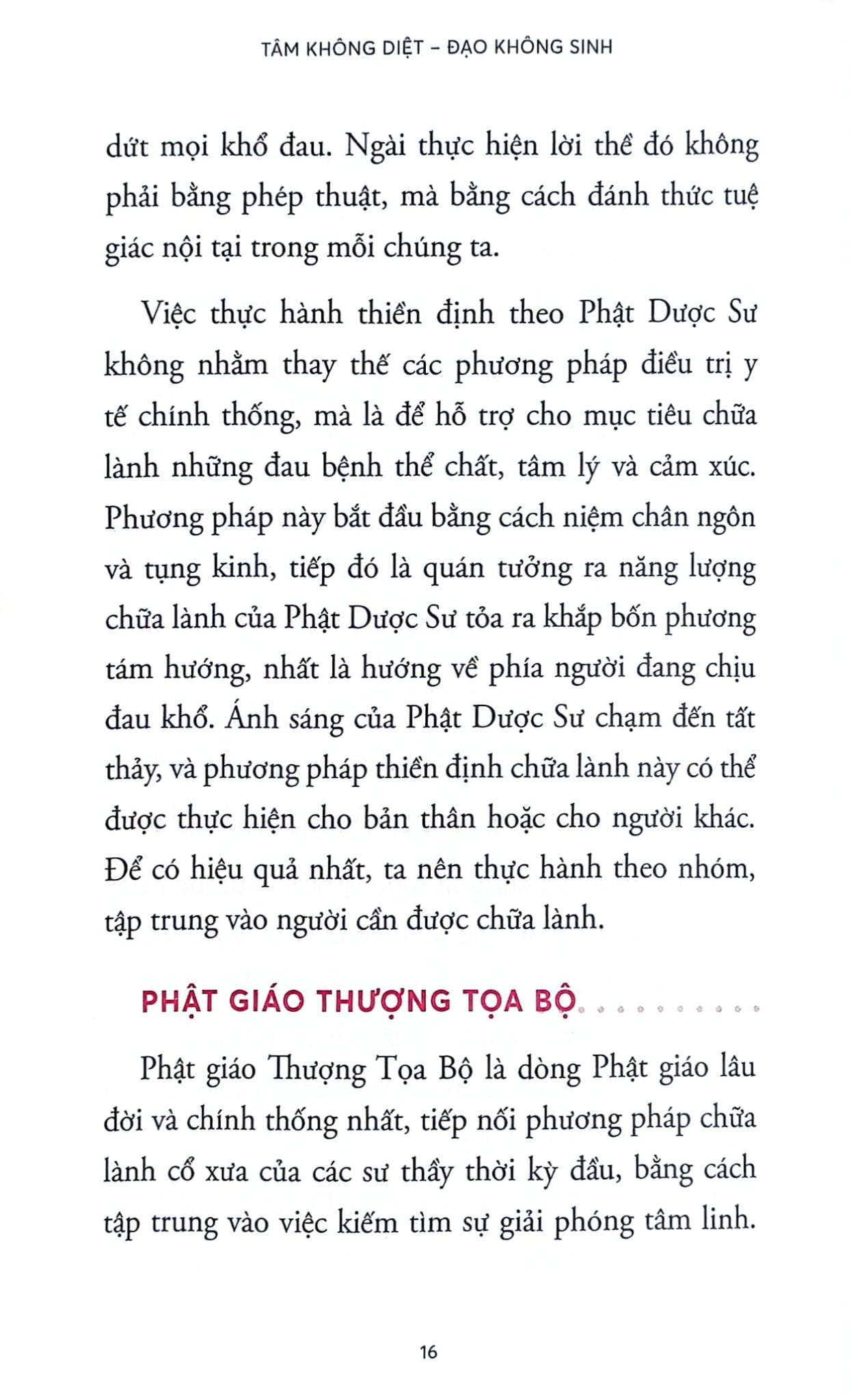 Tâm Không Diệt - Đạo Không Sinh -  
Terry Cortés-Vega