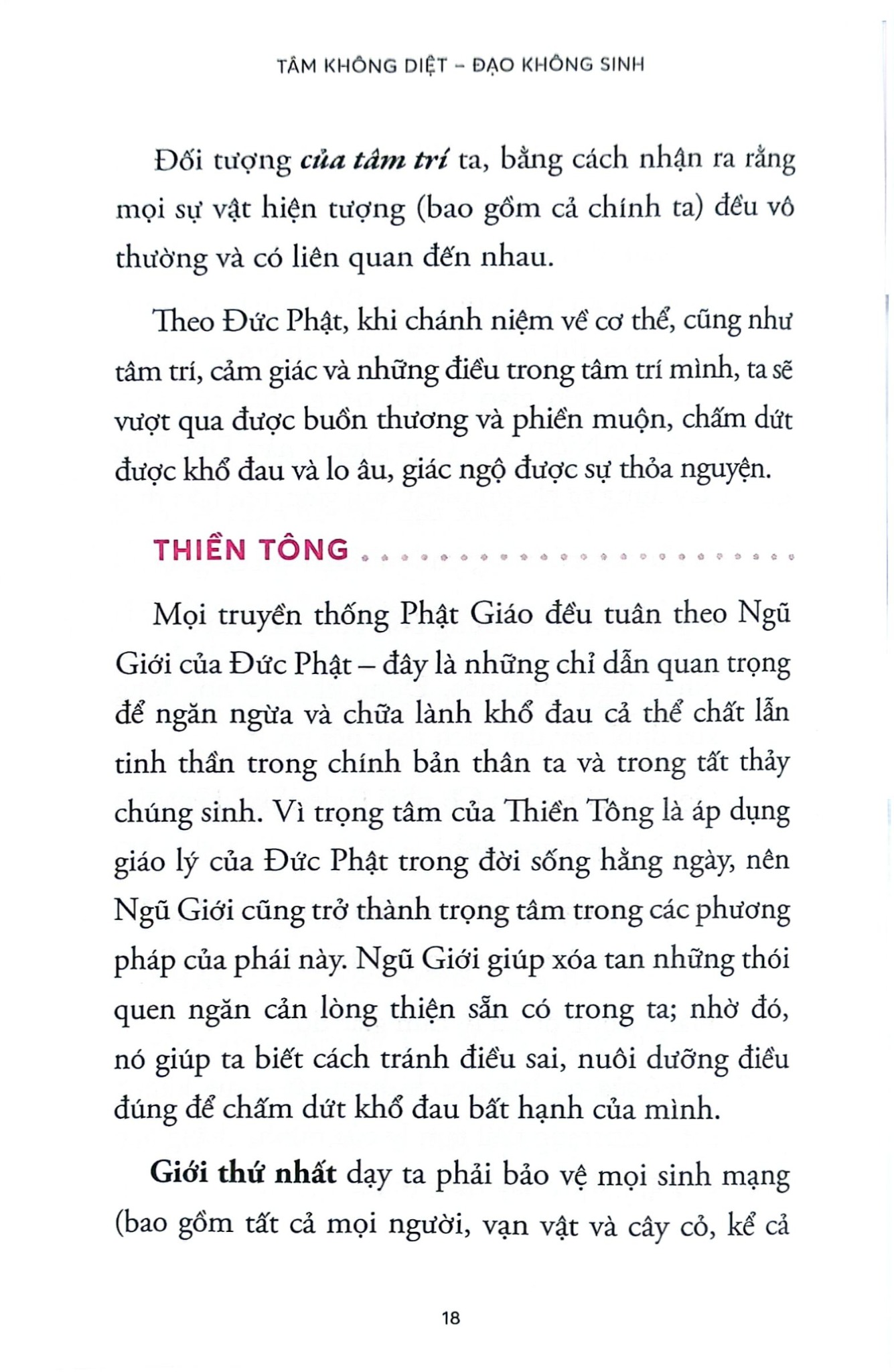 Tâm Không Diệt - Đạo Không Sinh -  
Terry Cortés-Vega
