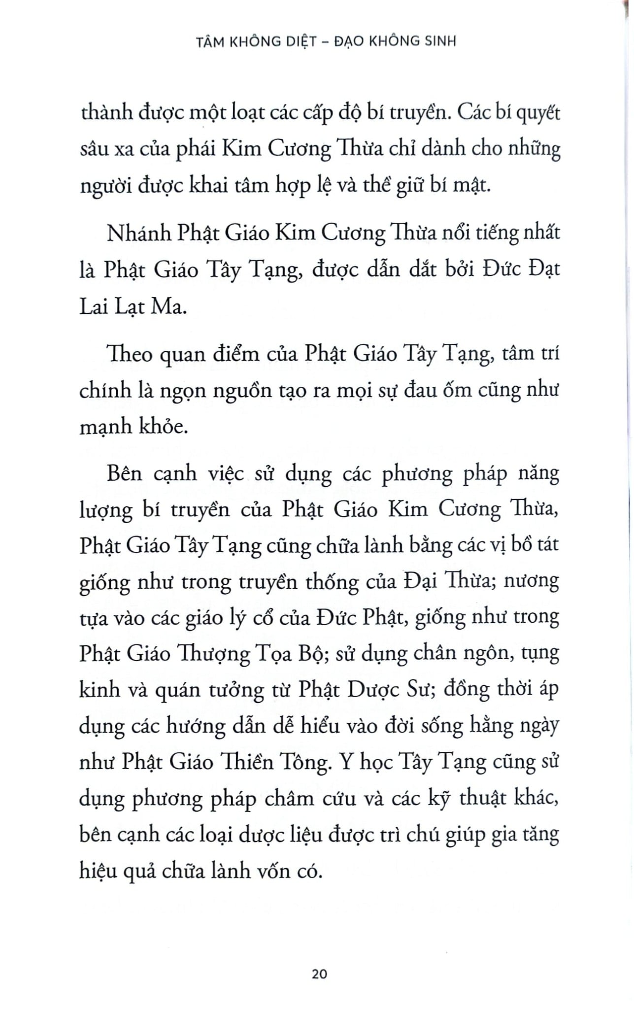 Tâm Không Diệt - Đạo Không Sinh -  
Terry Cortés-Vega