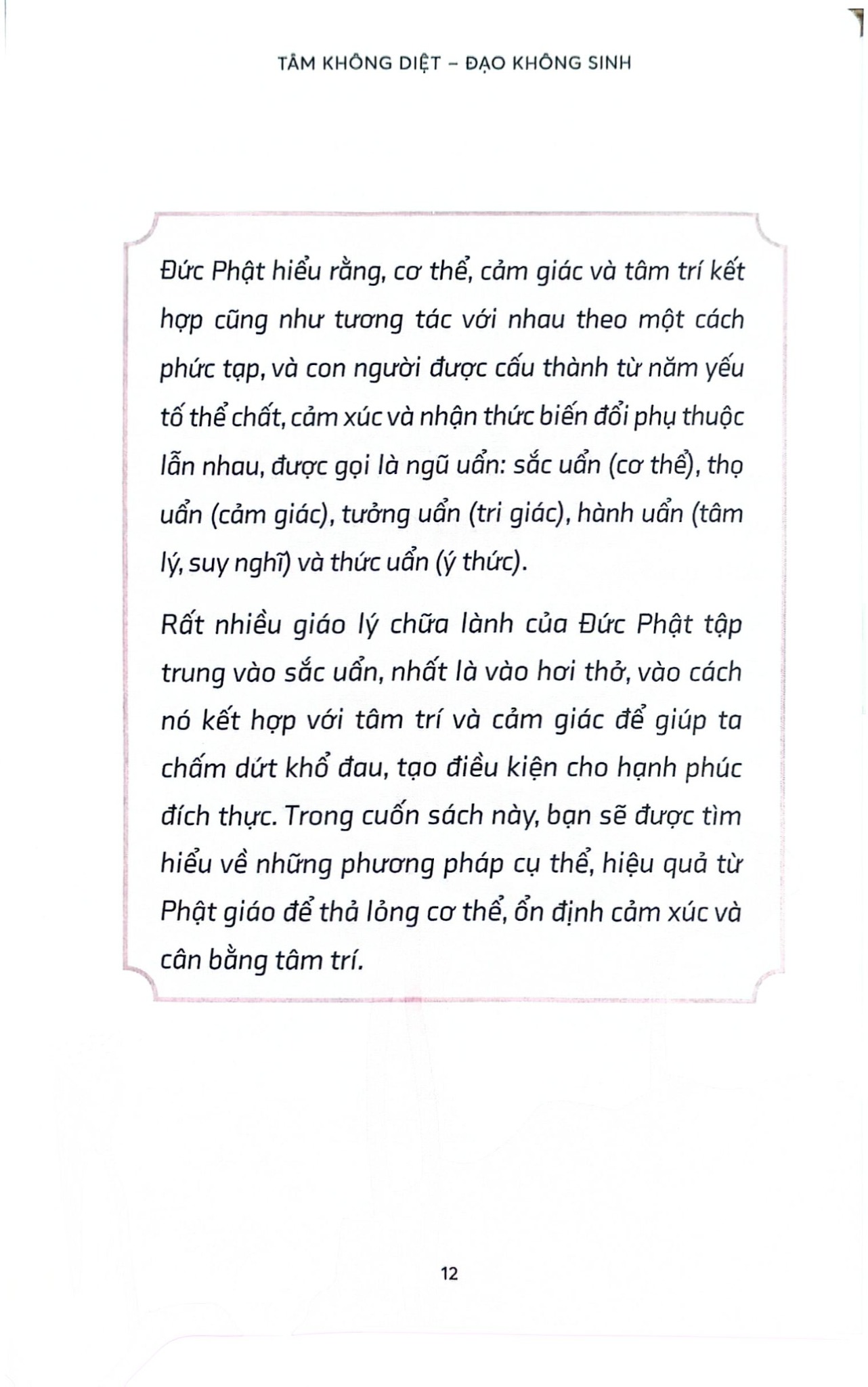 Tâm Không Diệt - Đạo Không Sinh -  
Terry Cortés-Vega
