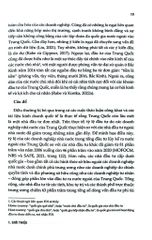 Tỉnh Thành Trung Quốc Đi Ra Thế Giới – Quốc Tế Hóa Dưới Sự Tự Chủ Có - Wiebke Antonia Rabe