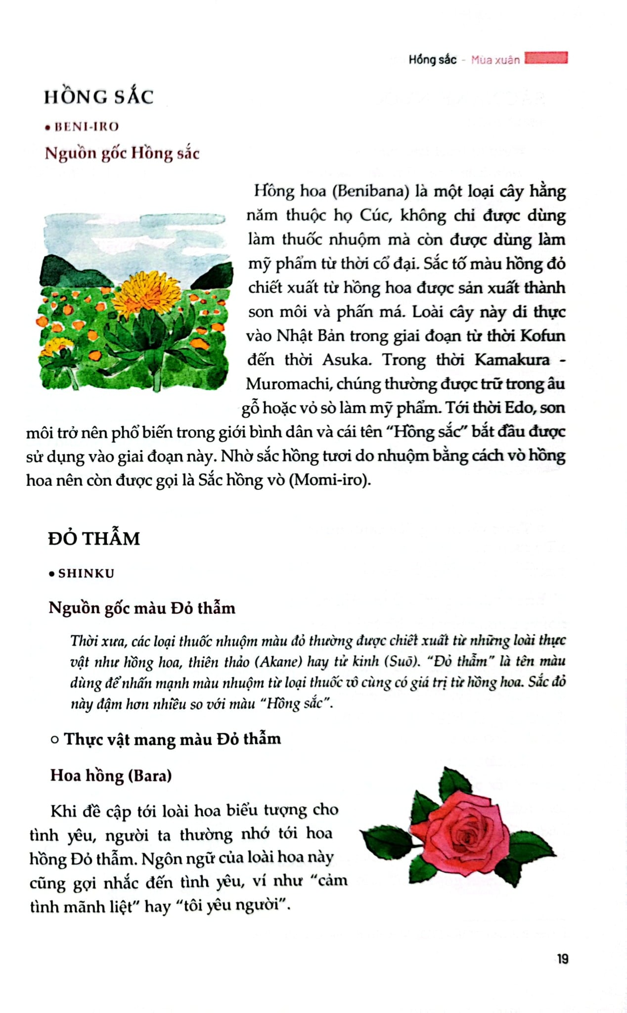 Sắc Màu Nhật Bản - Bốn Mùa Thiên Nhiên Và Sáng Tạo Qua Các Thời Đại - Yoko Nagasawa, Tomoko Everson