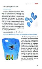 Sắc Màu Nhật Bản - Bốn Mùa Thiên Nhiên Và Sáng Tạo Qua Các Thời Đại - Yoko Nagasawa, Tomoko Everson