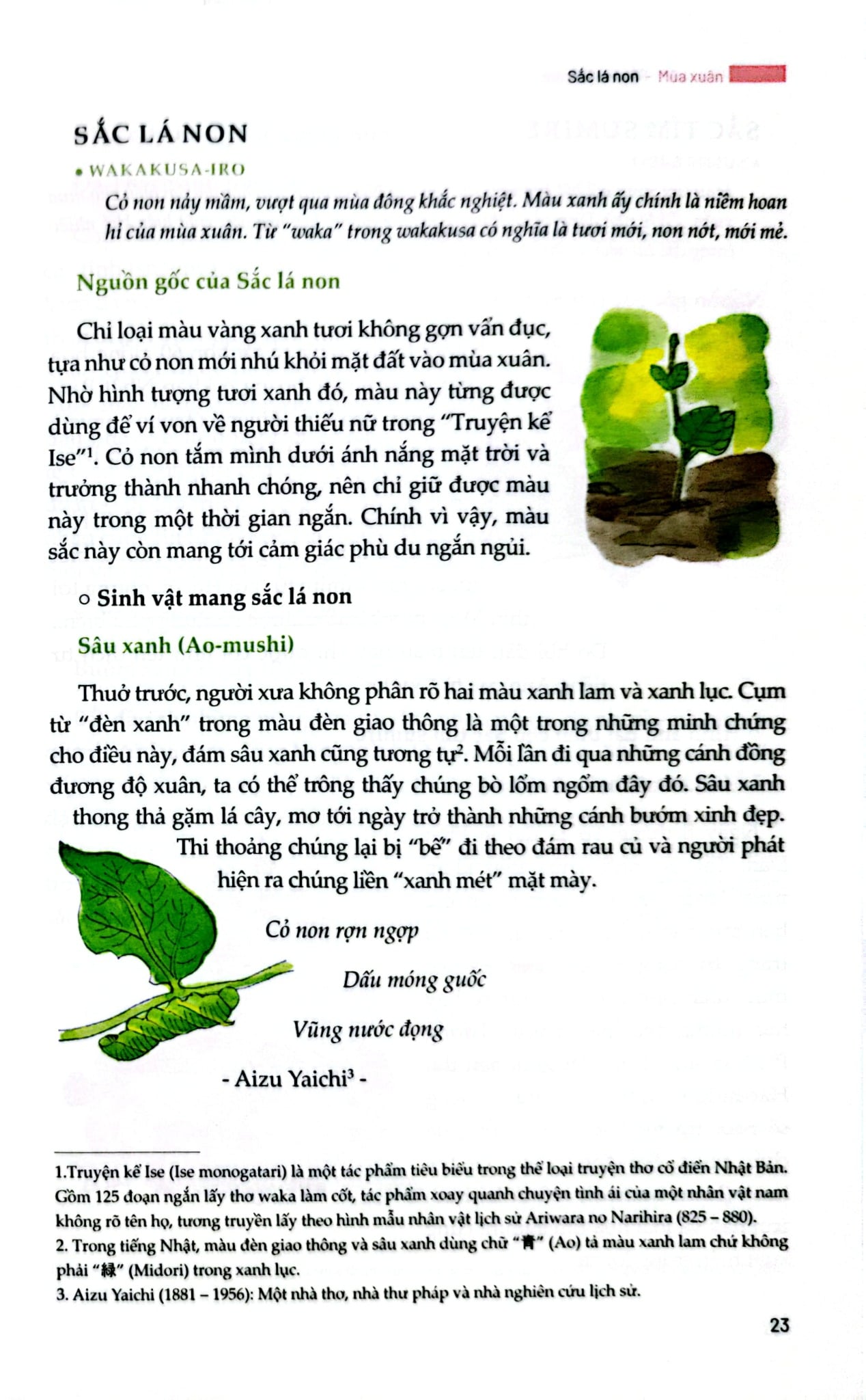 Sắc Màu Nhật Bản - Bốn Mùa Thiên Nhiên Và Sáng Tạo Qua Các Thời Đại - Yoko Nagasawa, Tomoko Everson