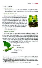 Sắc Màu Nhật Bản - Bốn Mùa Thiên Nhiên Và Sáng Tạo Qua Các Thời Đại - Yoko Nagasawa, Tomoko Everson